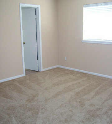 2430 Goldspring Ln, Spring, TX 77373